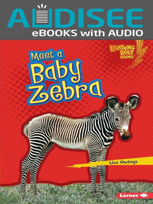 Title details for Meet a Baby Zebra by Lisa Owings - Available